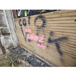 Zdjęcia użytkowników Motorola Edge 40 Pro