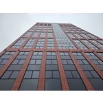 Zdjęcia użytkowników Motorola Edge 40 Pro