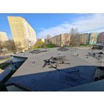 Zdjęcia użytkowników Motorola Edge 40 Pro