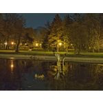 Zdjęcia użytkowników Motorola Edge 40 Pro