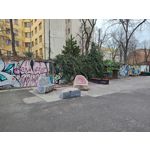 Zdjęcia użytkowników Motorola Edge 40 Pro