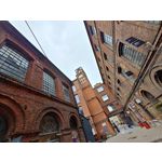 Zdjęcia użytkowników Motorola Edge 40 Pro