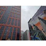 Zdjęcia użytkowników Motorola Edge 40 Pro