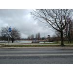 Zdjęcia użytkowników Motorola Edge 40 Pro