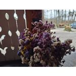 Zdjęcia użytkowników Motorola Edge 40 Pro