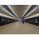 Zdjęcia użytkowników Motorola Edge 40 Pro