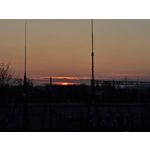 Zdjęcia użytkowników Motorola Edge 40 Pro