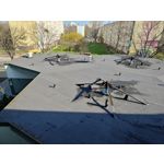 Zdjęcia użytkowników Motorola Edge 40 Pro