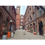 Zdjęcia użytkowników Motorola Edge 40 Pro