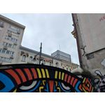 Zdjęcia użytkowników Motorola Edge 40 Pro