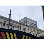 Zdjęcia użytkowników Motorola Edge 40 Pro