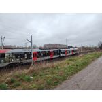 Zdjęcia użytkowników Motorola Edge 40 Pro