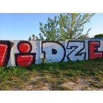 Zdjęcia użytkowników Motorola Edge 40