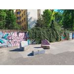 Zdjęcia użytkowników Motorola Edge 40