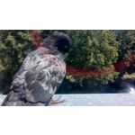 ZDJĘCIA Z TEGO TELEFONU