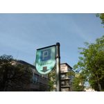 Zdjęcia użytkowników Motorola Moto E 4G