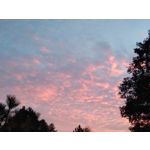 ZDJĘCIA Z TEGO TELEFONU