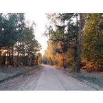 ZDJĘCIA Z TEGO TELEFONU