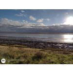 Zdjęcia użytkowników Motorola Moto E7 Plus Zdjęcia użytkowników Motorola Moto E7 Plus