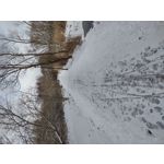 Zdjęcia użytkowników Motorola Moto E7 Plus Zdjęcia użytkowników Motorola Moto E7 Plus