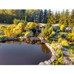 ZDJĘCIA Z TEGO TELEFONU ZDJĘCIA Z TEGO TELEFONU