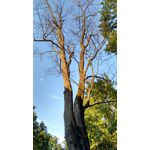 Zdjęcia użytkowników Motorola Moto G 2nd Gen