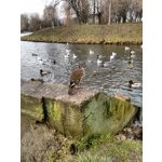 ZDJĘCIA Z TEGO TELEFONU ZDJĘCIA Z TEGO TELEFONU