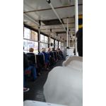 Zdjęcia użytkowników Motorola Moto G 2nd Gen