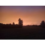 Zdjęcia użytkowników Motorola Moto G 5G