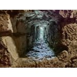 Zdjęcia użytkowników Motorola Moto G 5G