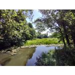 Zdjęcia użytkowników Motorola Moto G 5G