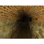 Zdjęcia użytkowników Motorola Moto G 5G