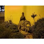 Zdjęcia użytkowników Motorola Moto G 5G