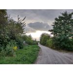 Zdjęcia użytkowników Motorola Moto G 5G