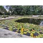 Zdjęcia użytkowników Motorola Moto G 5G