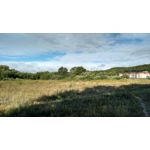 Zdjęcia użytkowników Motorola Moto G XT1072 Zdjęcia użytkowników Motorola Moto G XT1072