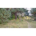 Zdjęcia użytkowników Motorola Moto G XT1072 Zdjęcia użytkowników Motorola Moto G XT1072