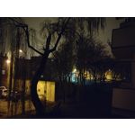 Zdjęcia użytkowników Motorola Moto G100