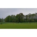 Zdjęcia użytkowników Motorola Moto G20 Zdjęcia użytkowników Motorola Moto G20