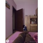 Zdjęcia użytkowników Motorola Moto G20 Zdjęcia użytkowników Motorola Moto G20