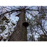 Zdjęcia użytkowników Motorola Moto G20 Zdjęcia użytkowników Motorola Moto G20