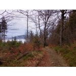 Zdjęcia użytkowników Motorola Moto G20 Zdjęcia użytkowników Motorola Moto G20