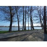 Zdjęcia użytkowników Motorola Moto G22