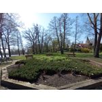 Zdjęcia użytkowników Motorola Moto G22