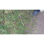 Zdjęcia użytkowników Motorola Moto G22