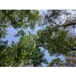 Zdjęcia użytkowników Motorola Moto G30 Dual SIM