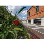 Zdjęcia użytkowników Motorola Moto G30 Dual SIM