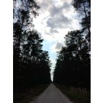 Zdjęcia użytkowników Motorola Moto G30 Dual SIM