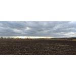 ZDJĘCIA Z TEGO TELEFONU