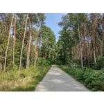 Zdjęcia użytkowników Motorola Moto G30 Dual SIM